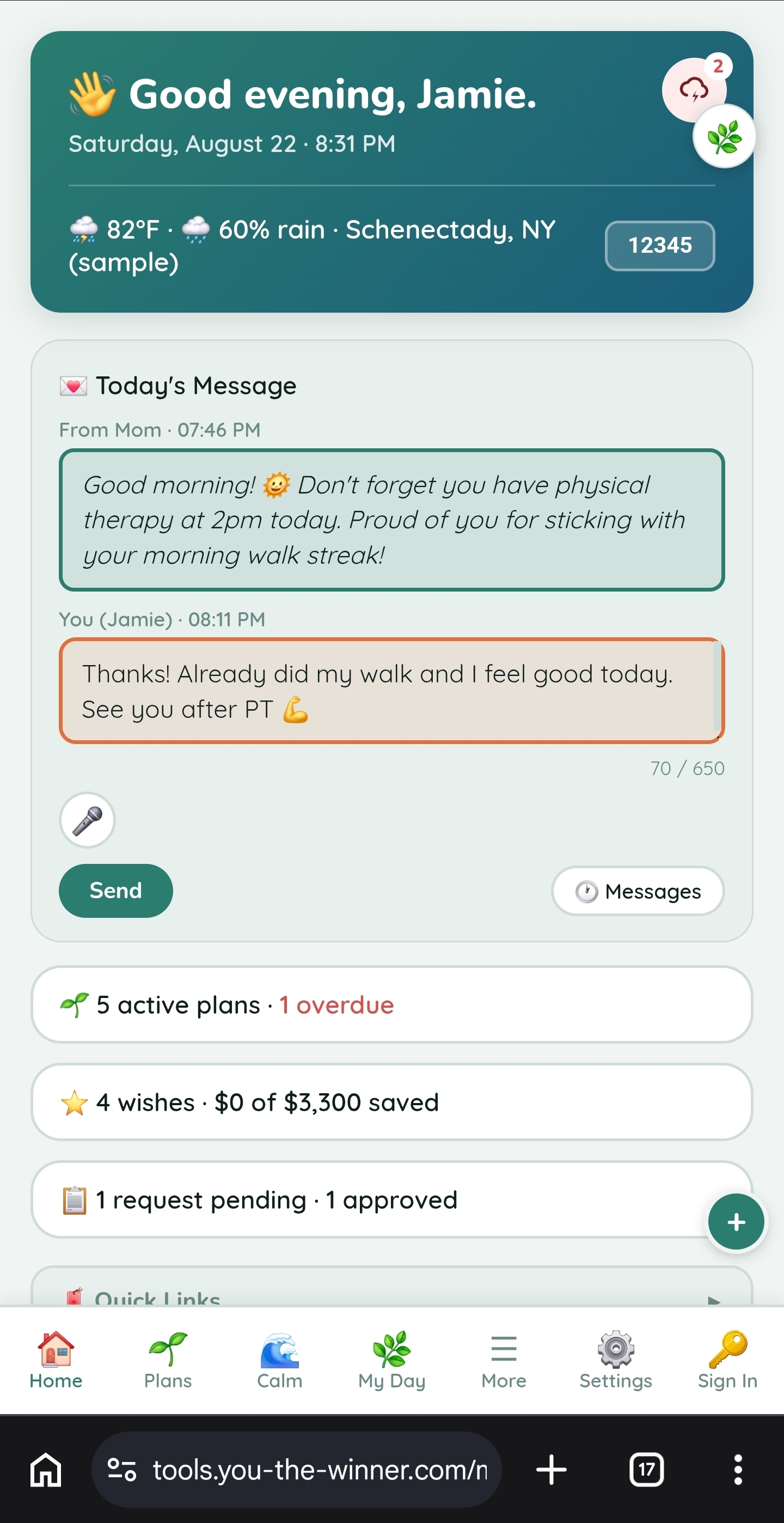 Daily Tools Home showing messages and requests