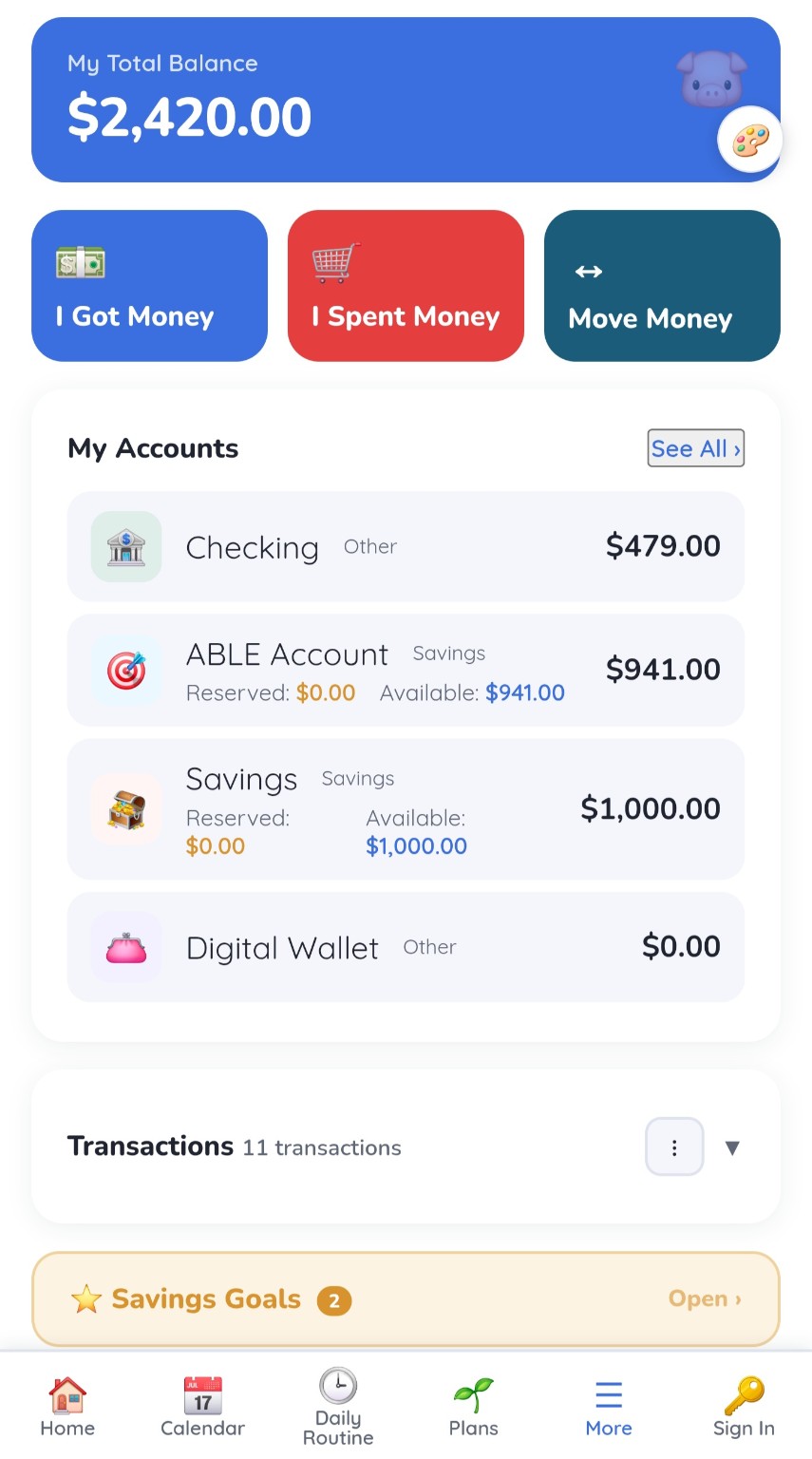 My Money with total balance, accounts, savings goals and simple money actions